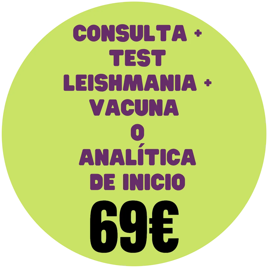 CONSULTA + TEST LEISHMANIA + VACUNA O ANALÍTICA DE INICIO_resultado