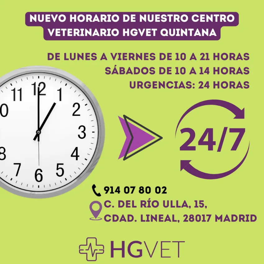 horario de urgencias de quintana horario de urgencias de quintana