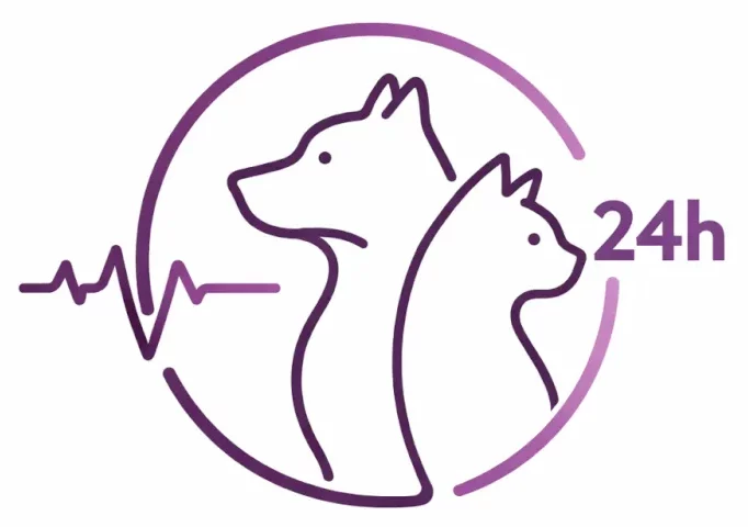 Servicio de Urgencias